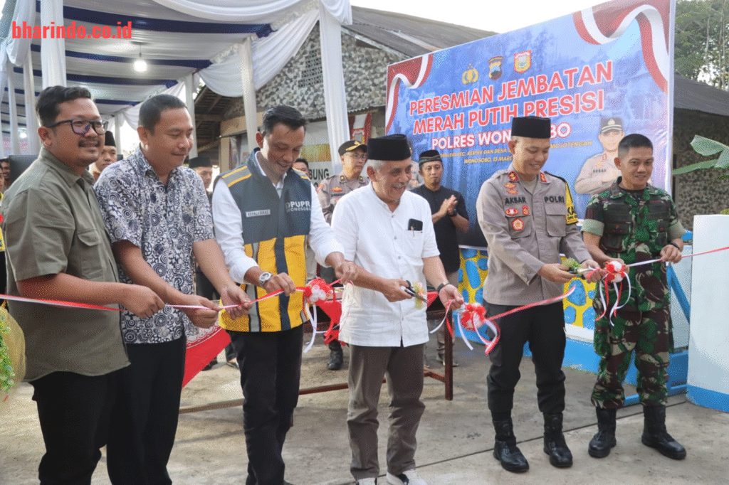 WhatsApp Image 2026-03-13 at 22.11.24