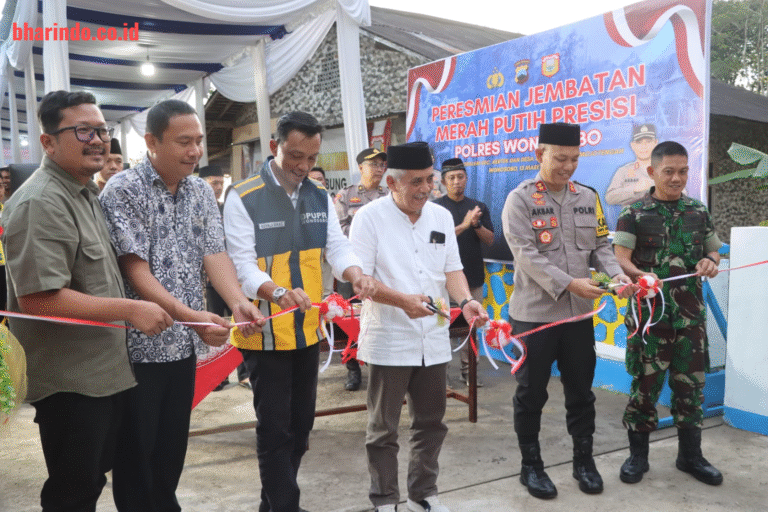 WhatsApp Image 2026-03-13 at 22.11.24