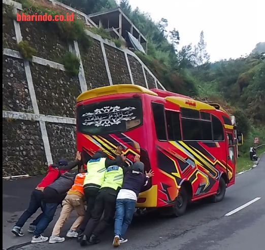 WhatsApp Image 2026-03-22 at 11.35.49