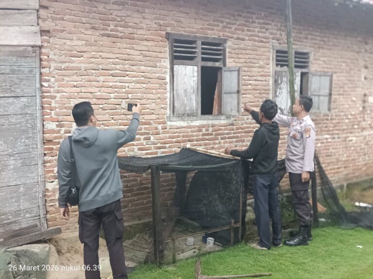 WhatsApp Image 2026-03-26 at 10.36.10