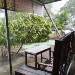 WhatsApp Image 2026-03-28 at 16.31.56