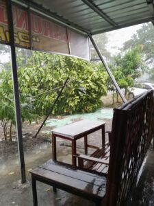 WhatsApp Image 2026-03-28 at 16.31.56