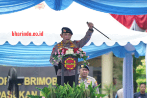 05220e2f-02df-465b-a434-46280402e0d9_15593