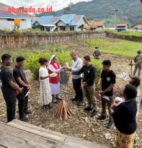 23775b4f-78b5-4f90-8932-6f60e4d56705_207976