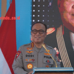 45925_586128