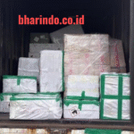 674485923_1283861623882477_4472336519207346430_n