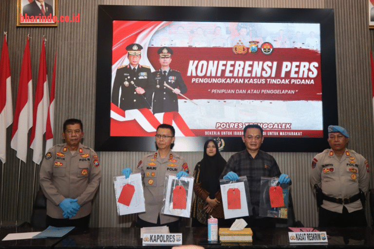 WhatsApp Image 2026-04-03 at 16.36.04