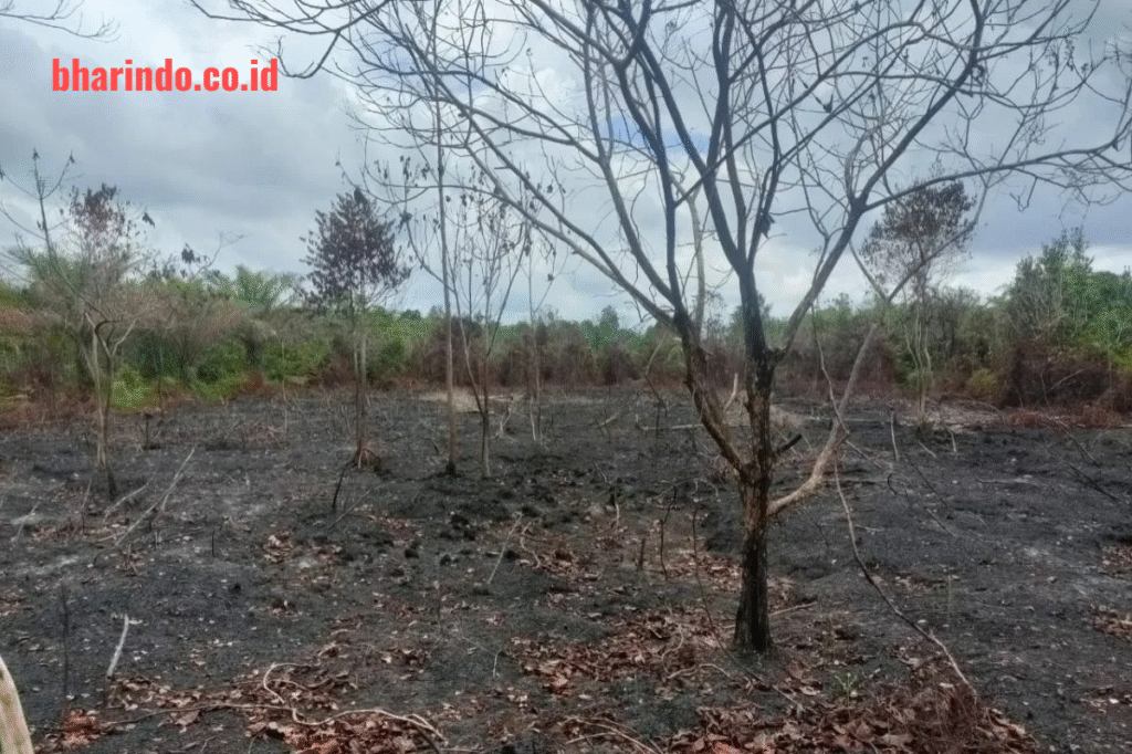 WhatsApp Image 2026-04-10 at 09.28.19