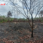 WhatsApp Image 2026-04-10 at 09.28.19