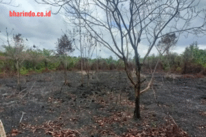 WhatsApp Image 2026-04-10 at 09.28.19