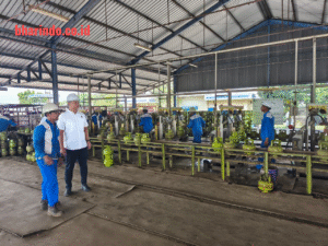 WhatsApp Image 2026-04-10 at 15.56.18