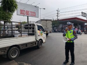 WhatsApp Image 2026-04-11 at 21.07.59