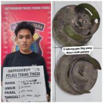 WhatsApp Image 2026-04-28 at 22.00.47