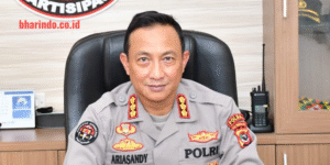 baf880da-612f-48fc-a6f8-00a7ff82c292_525981