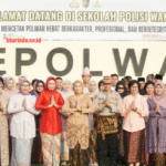 f779301a-4b9a-4f25-b8cd-699ef375_229782