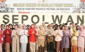 f779301a-4b9a-4f25-b8cd-699ef375_229782