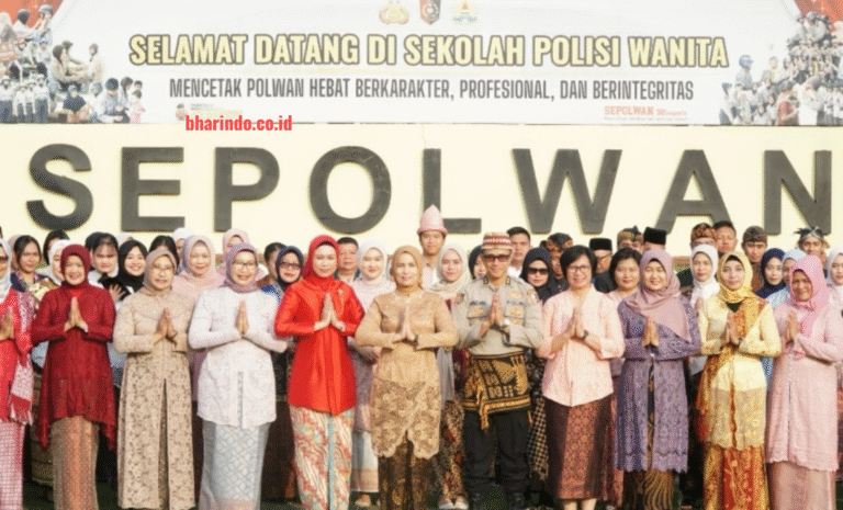 f779301a-4b9a-4f25-b8cd-699ef375_229782