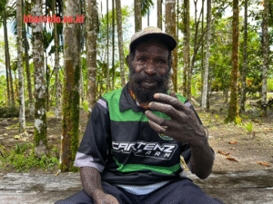tanpa_judul-3_977988