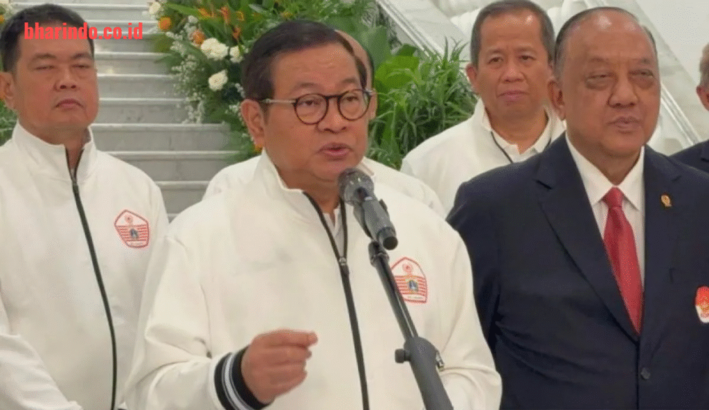 image (31)