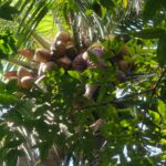 WhatsApp Image 2026-07-18 at 16.30.34