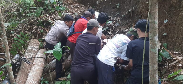 WhatsApp Image 2026-08-01 at 11.01.31
