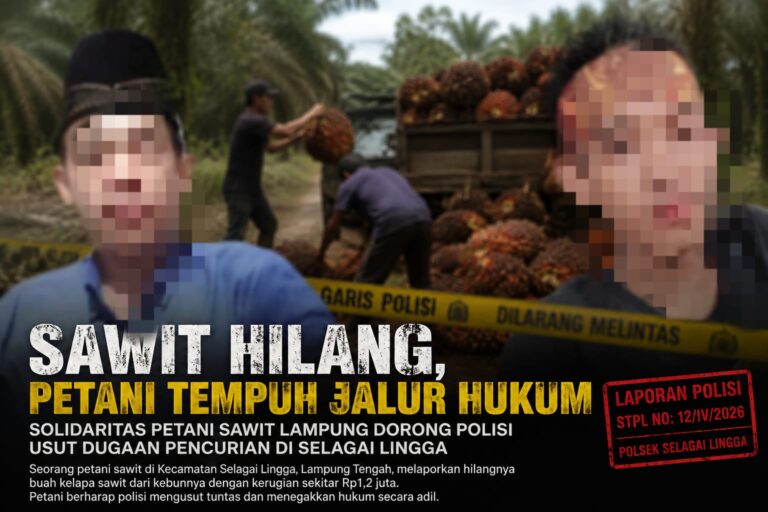 WhatsApp Image 2026-08-20 at 18.56.52