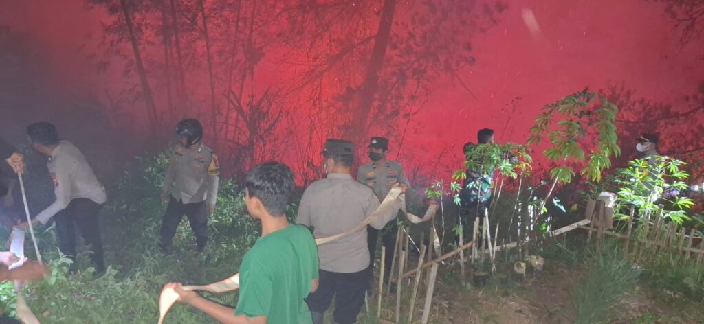WhatsApp Image 2026-08-27 at 21.22.49