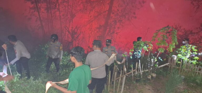 WhatsApp Image 2026-08-27 at 21.22.49