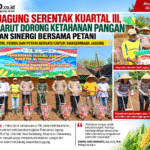 ChatGPT Image 16 Sep 2026, 15.00.39