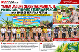 ChatGPT Image 16 Sep 2026, 15.00.39