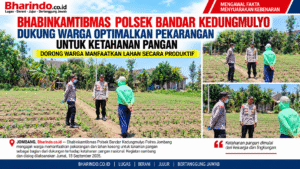 ChatGPT Image 19 Sep 2026, 11.44.22