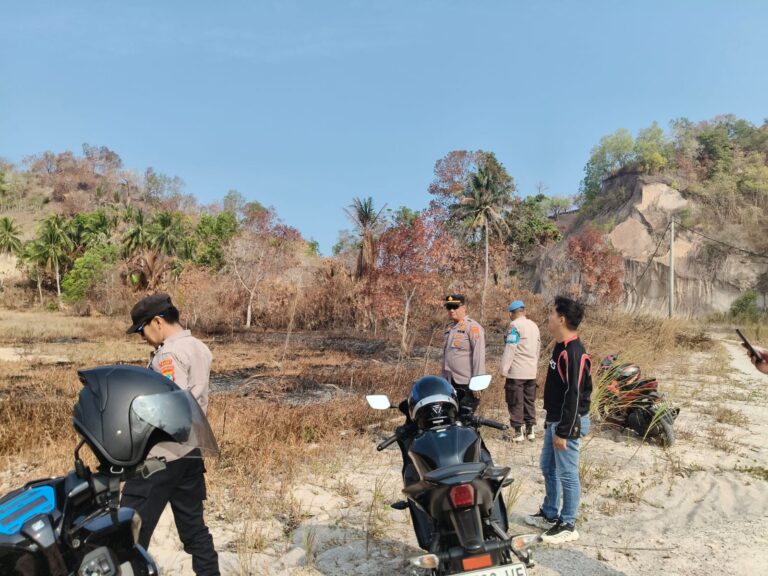 WhatsApp Image 2026-09-24 at 18.50.43