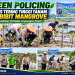 Aksi Green Policing Tanam Mangrove