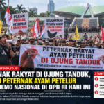 Demo Peternak Ayam di DPR RI