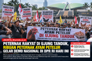 Demo Peternak Ayam di DPR RI