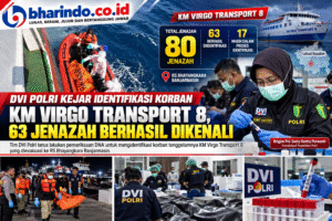 Infografik DVI KM Virgo Transport 8