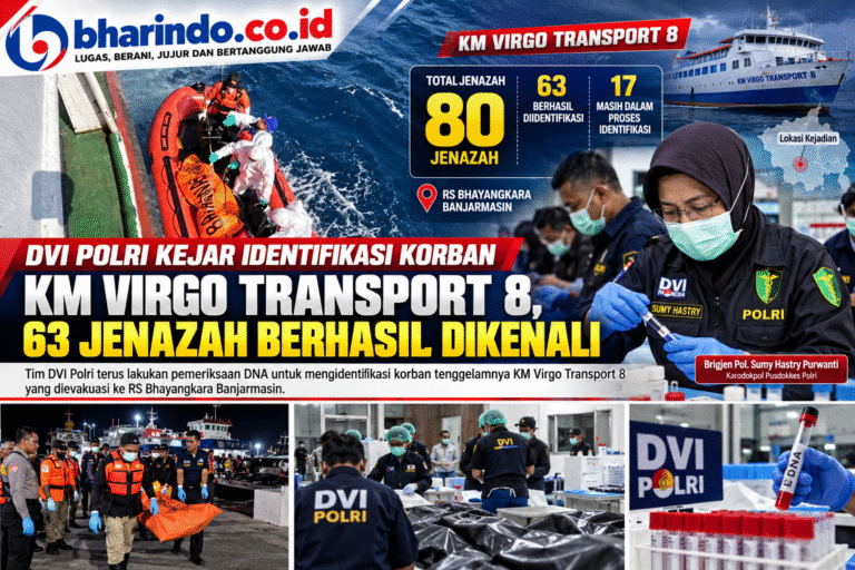 Infografik DVI KM Virgo Transport 8