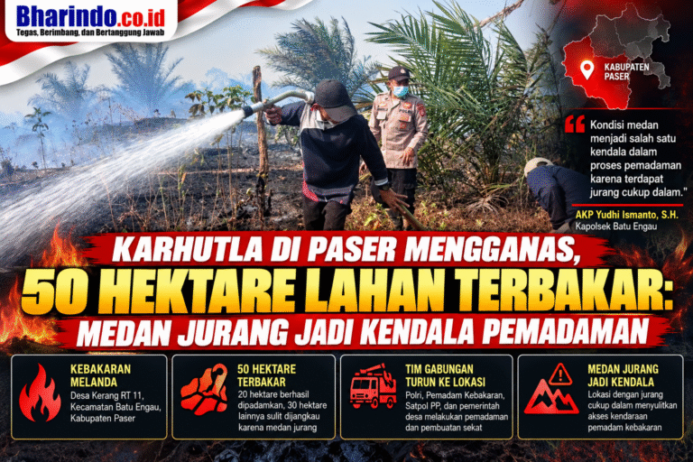 Infografik Karhutla Paser_ 50 Hektare Terbakar