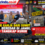 Infografik Polisi Gagalkan Peredaran Ganja 30,8 Kg