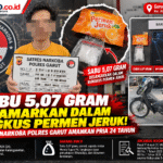 Infografis Kasus Narkoba Garut