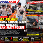 Infografis Kasus Pembunuhan Tulang Bawang