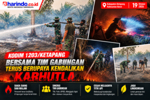 Karbula Terkendali, Tim Gabungan Bertindak