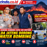 Kebakaran Gunung Sumbing 306 Hektare