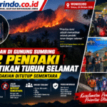 Kebakaran Gunung Sumbing_ 162 Pendaki Selamat