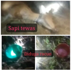 WhatsApp Image 2026-10-04 at 09.05.40
