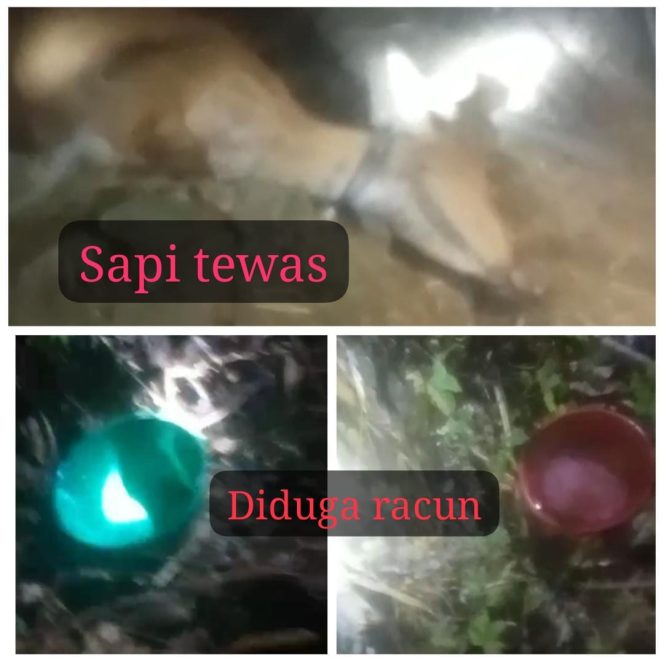 WhatsApp Image 2026-10-04 at 09.05.40